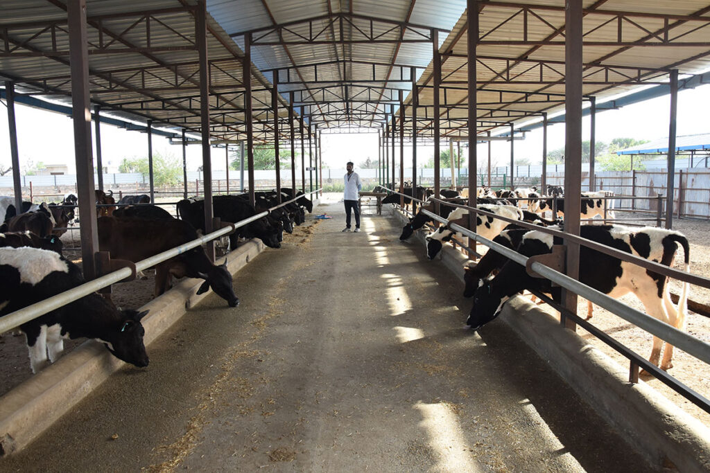 Best B.V.Sc. and A.H. Veterinary College India Rajasthan SVC