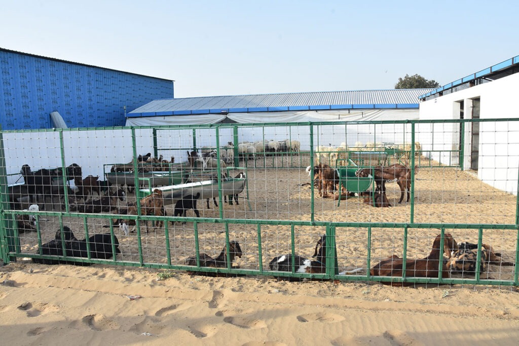 Best B.V.Sc. and A.H. Veterinary College India Rajasthan SVC