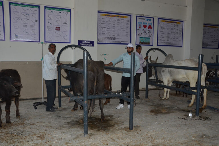 Best B.V.Sc. and A.H. Veterinary College India Rajasthan SVC